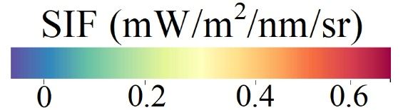 南京大学国际地球系统科学研究所张永光教授团队实现全球首颗日光诱导叶绿素荧光专用探测卫星“句芒号”叶绿素荧光遥感反演及产品业务化生产