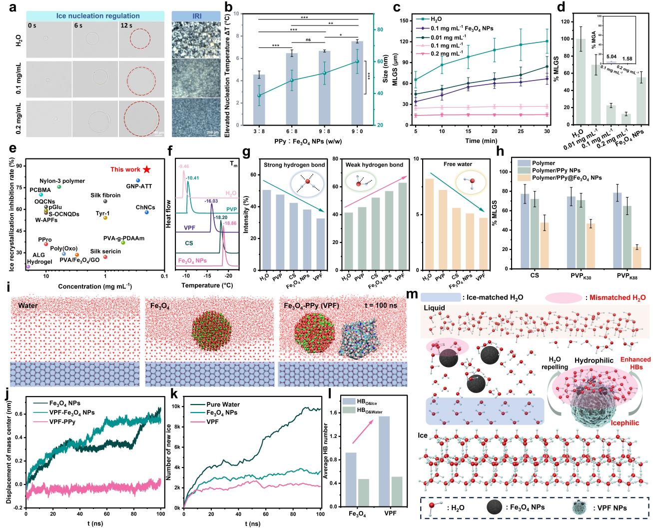 清华大学深圳国际研究生院耿洪亚团队在跨尺度生物样本冷冻保存领域取得新进展
