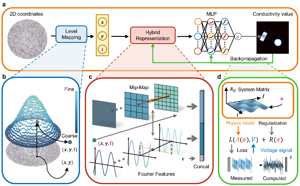 中国科大提出面向电阻抗成像的物理驱动神经网络补偿框架
