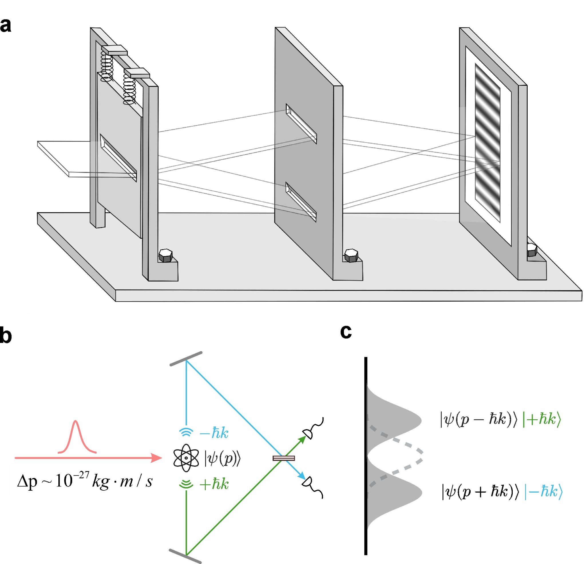 科学家利用单原子实现反冲狭缝思想实验