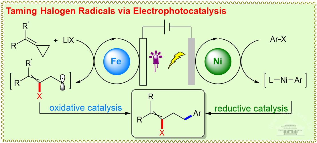 武汉大学陆庆全/邹有全课题组在自由基卤化领域取得最新研究成果