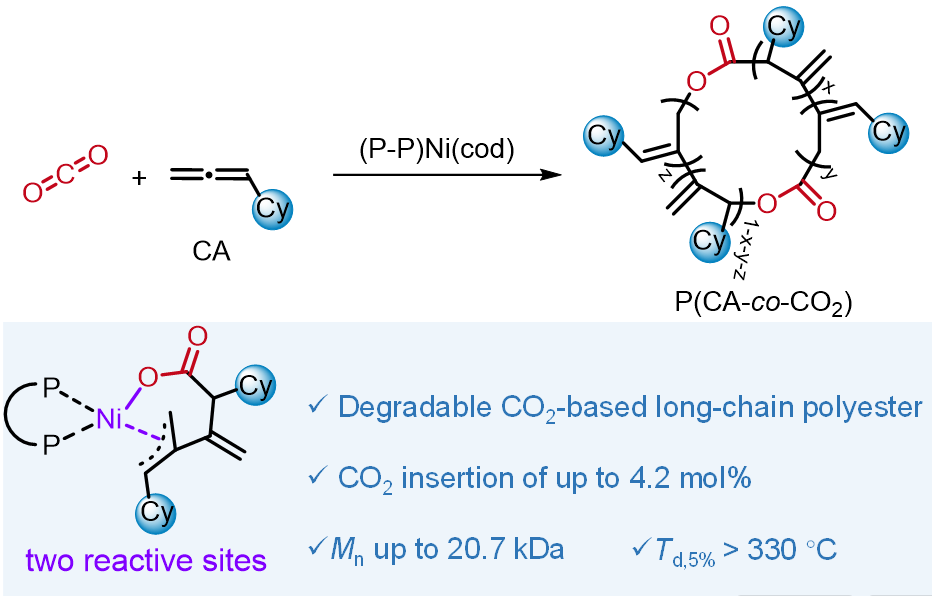 北京大学化学与分子工程学院唐小燕课题组开发二氧化碳基长碳链聚酯合成新方法