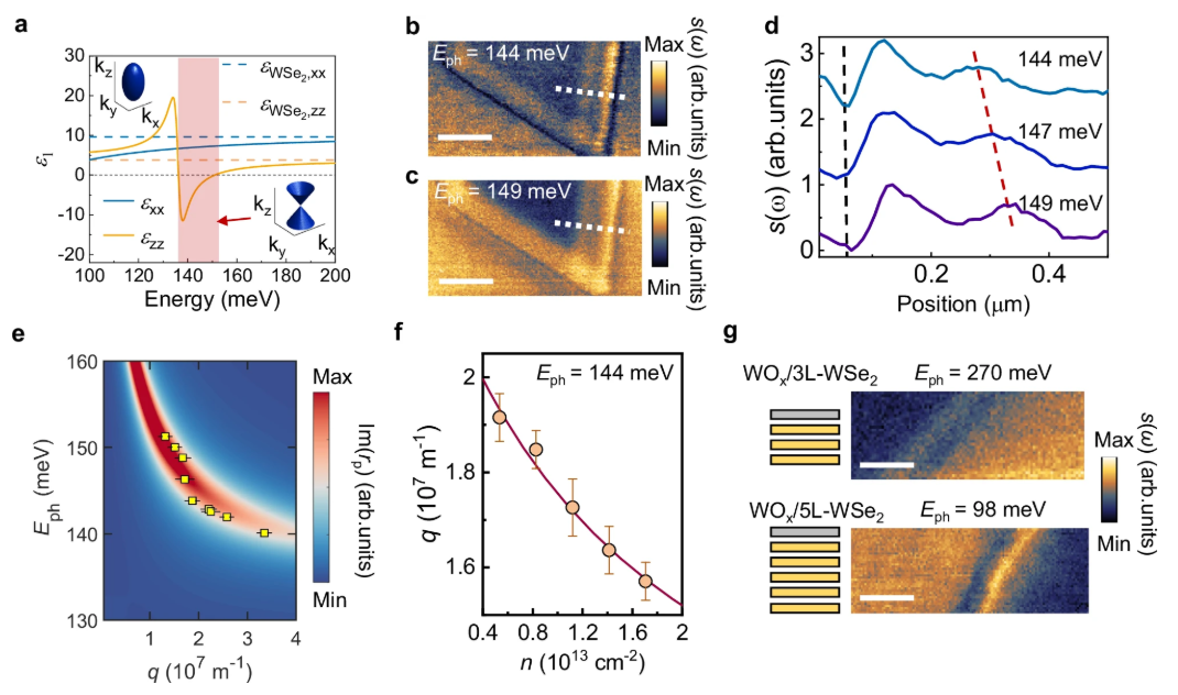 东南大学骆越教授在《自然通讯》上发表最新研究成果
