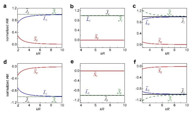 南京大学物理学院梁彬和程建春课题组揭示声波的全局自旋-轨道耦合效应