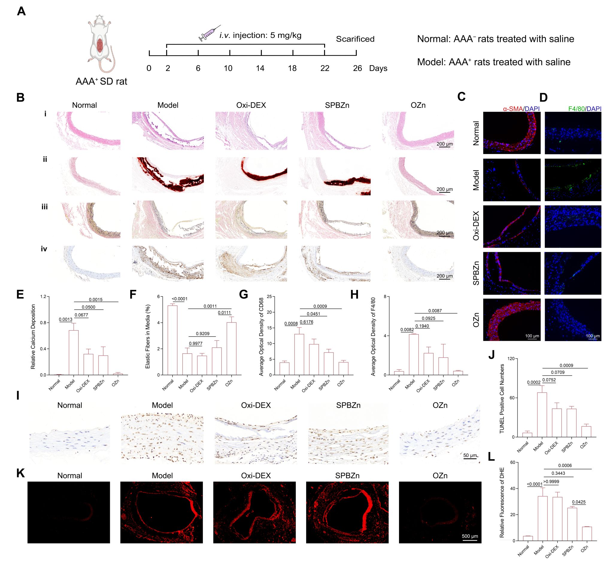 南京大学魏辉教授团队：一种用于腹主动脉瘤管理和治疗效果监测的超小型诊疗纳米酶