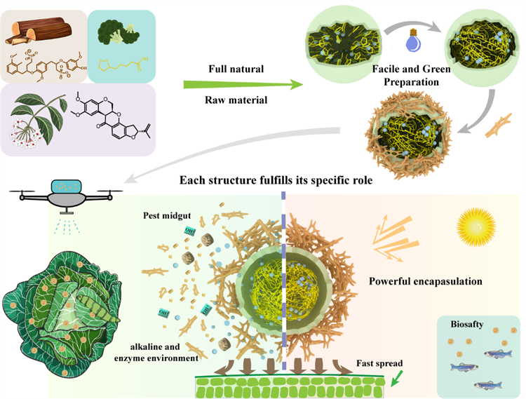 南开团队纳米农药研发获突破