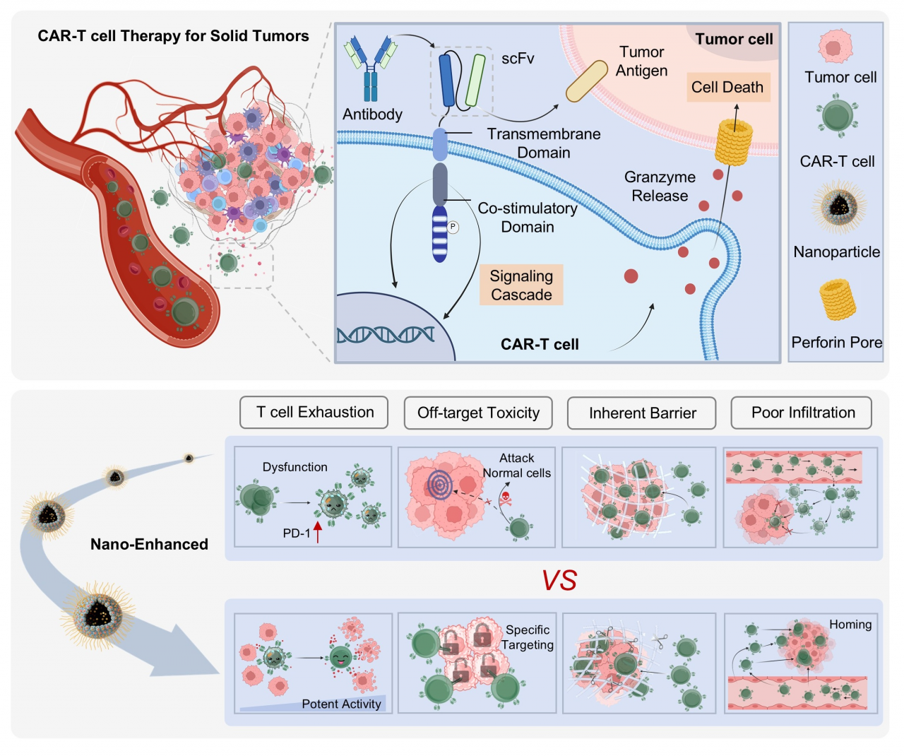 电子科技大学医学院张坤教授团队在国际权威期刊Coordination Chemistry Reviews上发表研究成果