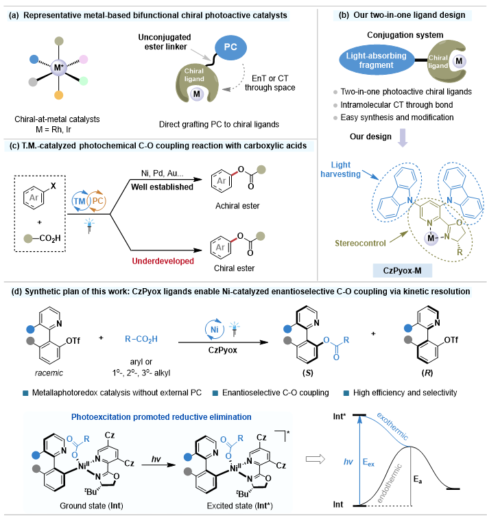上海交大刘家旺/郑庆舒团队实现双功能光活性手性配体促进的可见光和镍协同催化的不对称C−O偶联
