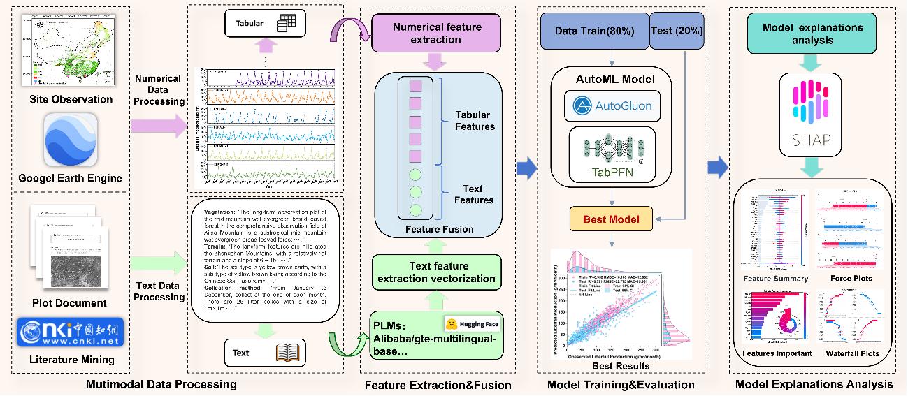智慧林草创新团队研发森林凋落物参数智能预测新方法