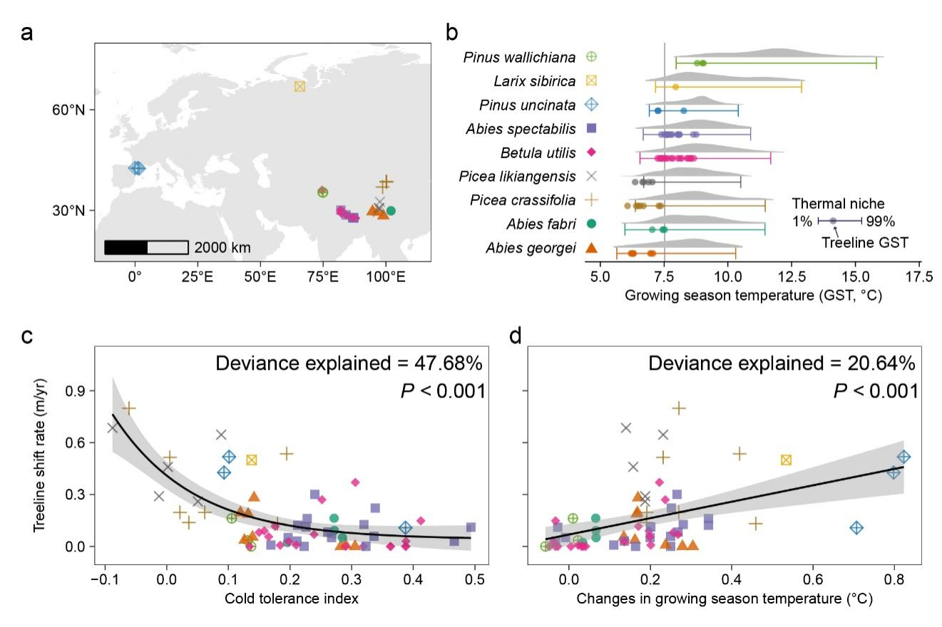 研究发现冷胁迫强度决定高山树线对气候变暖的响应速度