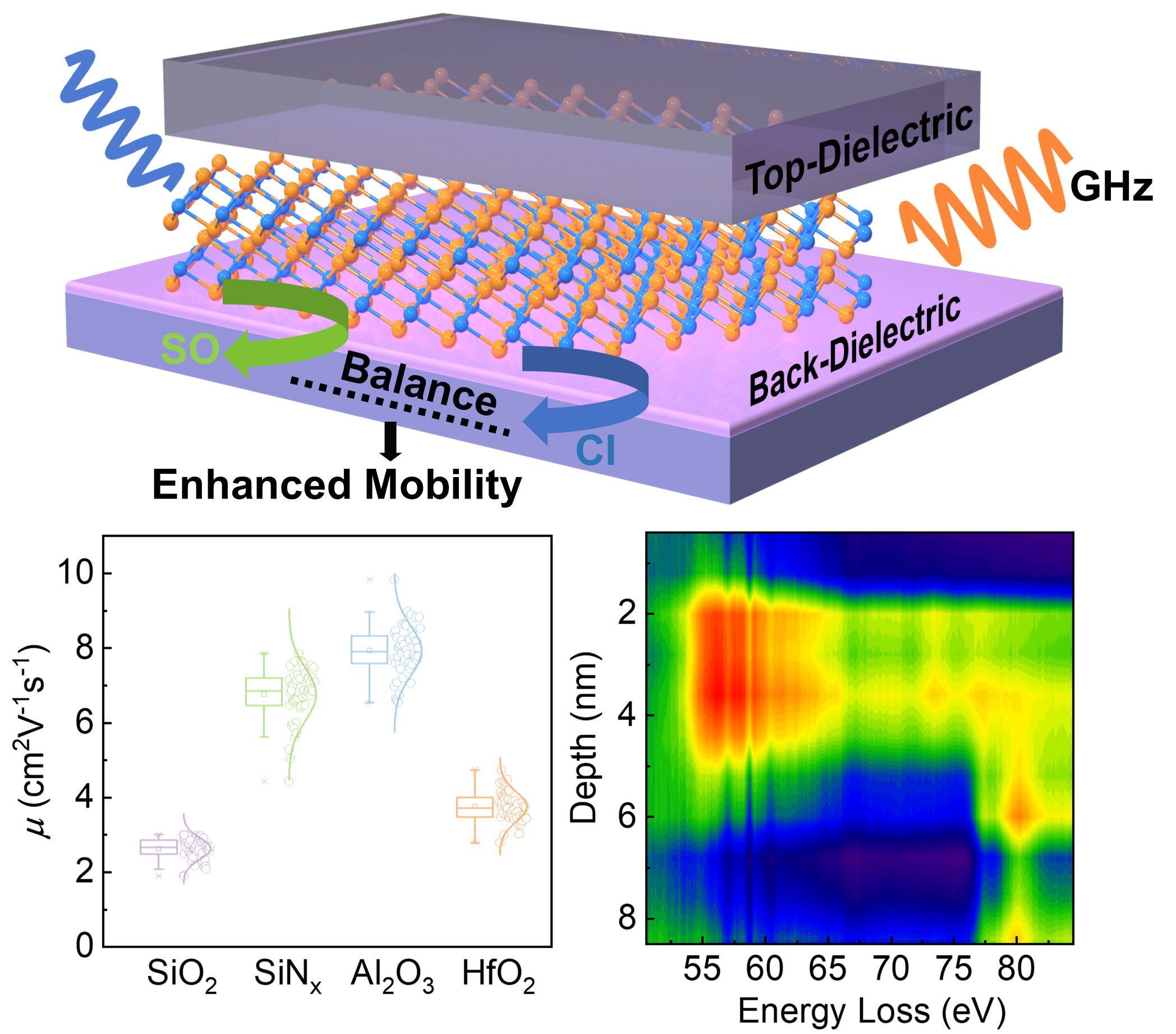 东南大学陶立团队在《先进功能材料》《自然电子》发表二维半导体晶体管的原子级界面构筑相关研究成果