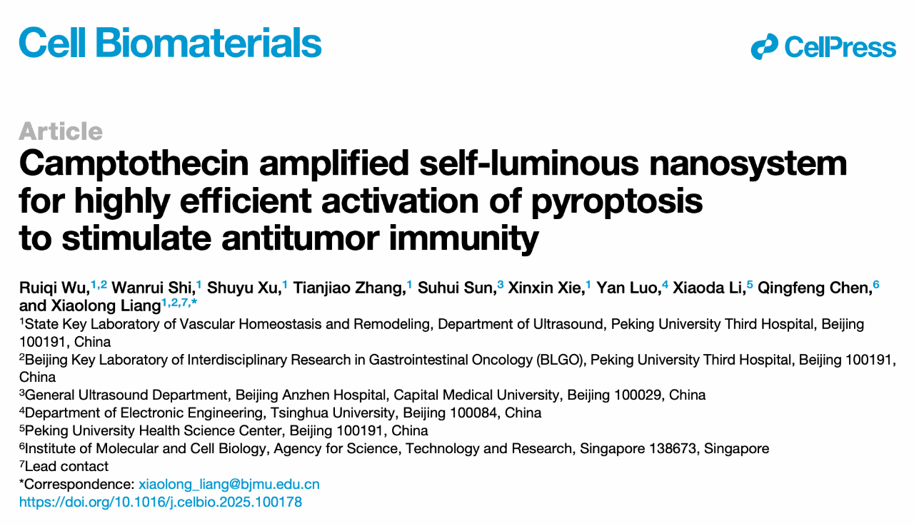 北京大学北京大学第三医院梁晓龙团队研发新型自发光纳米系统增强抗肿瘤免疫