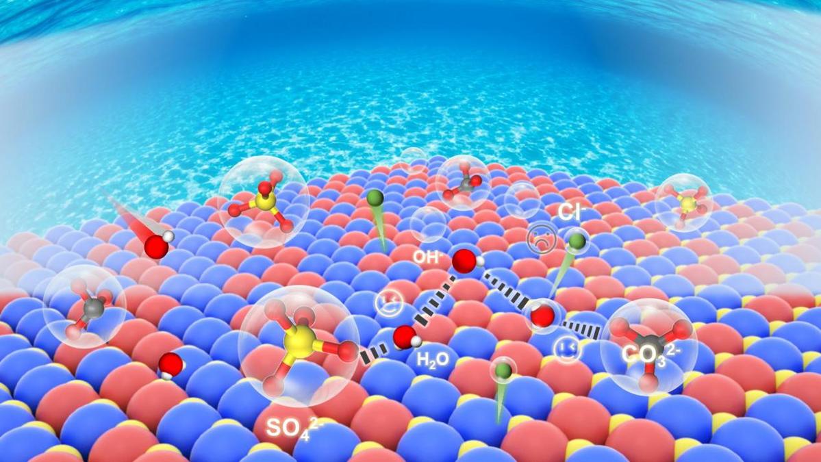 哈工大高继慧教授团队为海水电解制氢界面斥氯机制提供新思路