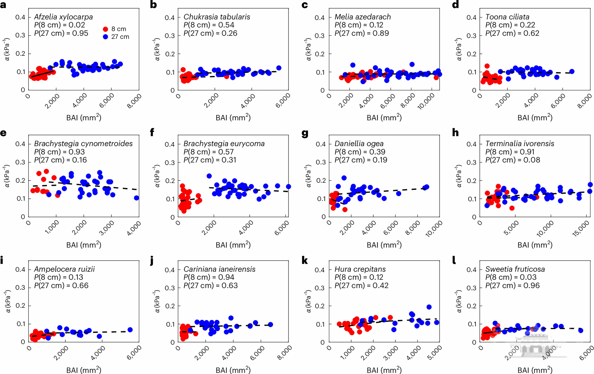 武汉大学张权课题组在“碳中和”研究领域取得重要研究进展