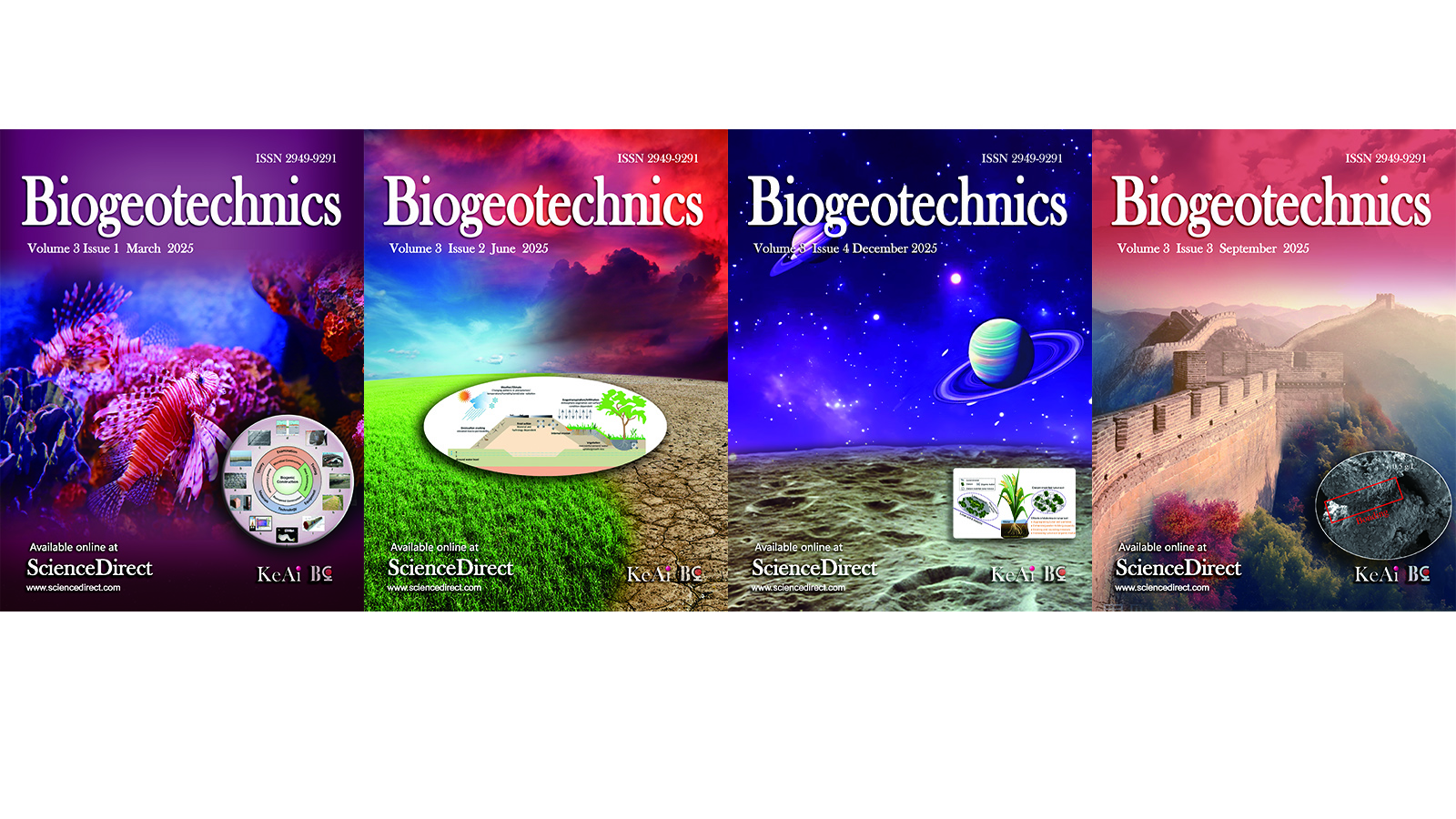 重庆大学重庆大学《生物岩土技术（英文）》入选中国科技期刊卓越行动计划高起点新刊项目