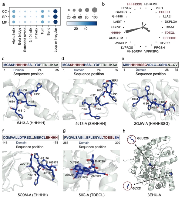西北农林科技大学(767)信息工程学院李富义教授课题组在蛋白质功能注释研究上取得新进展