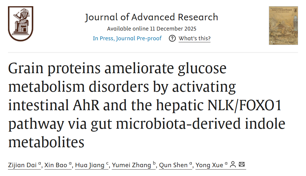 中国农业大学｜食品学院沈群、薛勇团队解析杂粮蛋白经肠道菌群产生的吲哚类衍生物改善宿主糖代谢的潜在机制