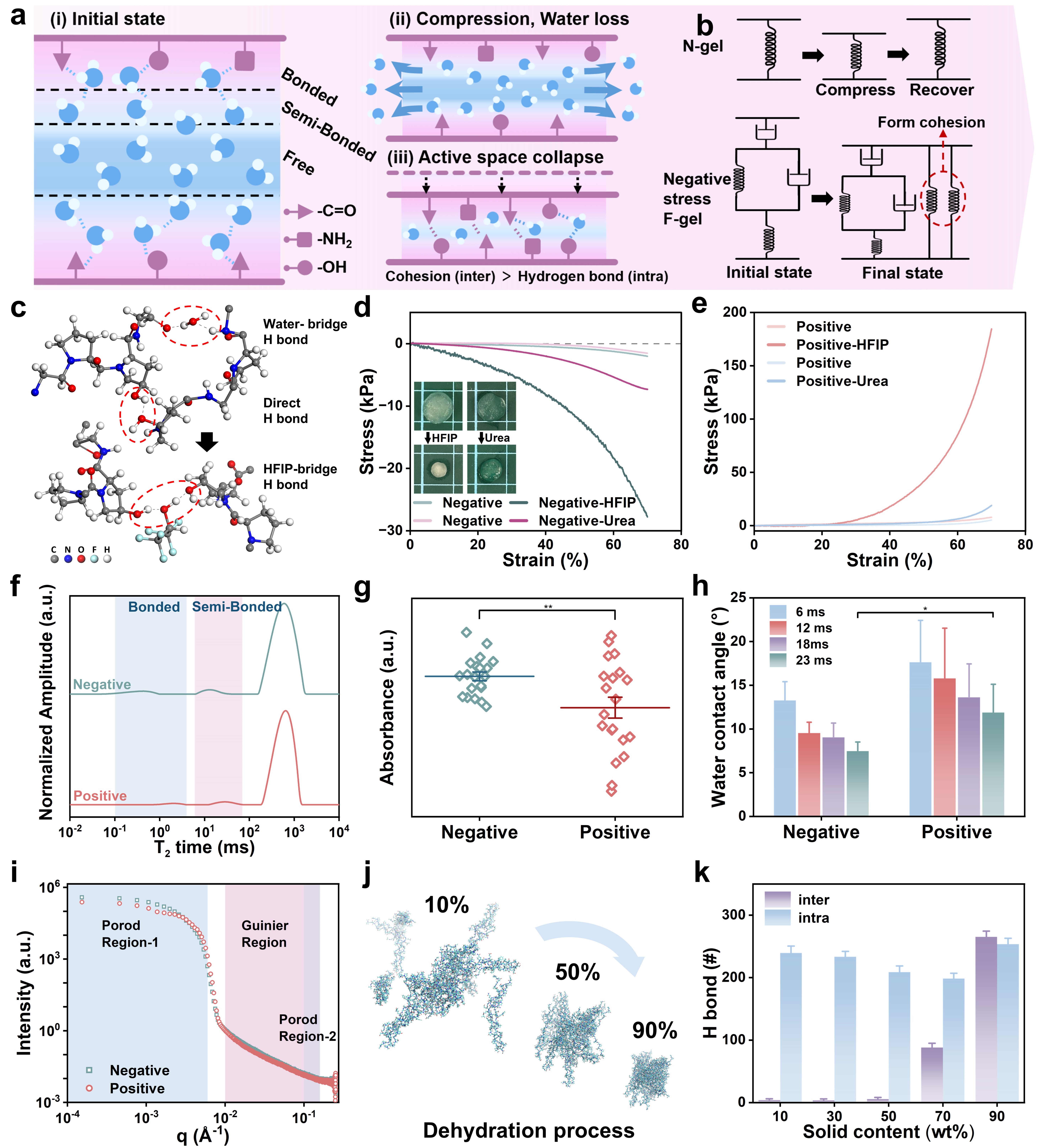 清华大学深圳国际研究生院耿洪亚团队在仿生力学水凝胶调控三维细胞浸润研究中取得新进展