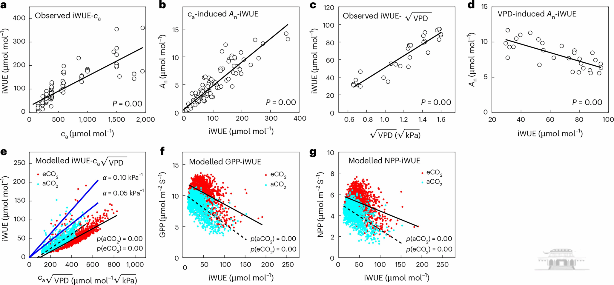 武汉大学张权课题组在“碳中和”研究领域取得重要研究进展