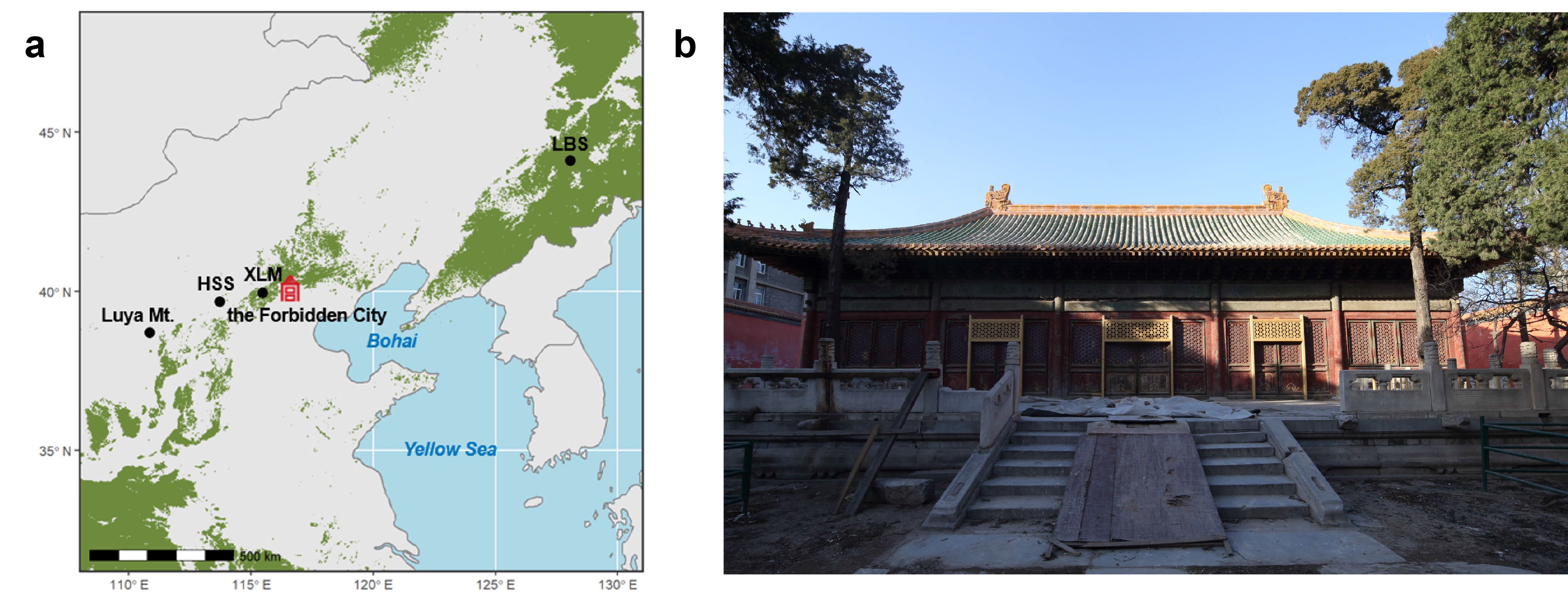 研究提出树轮氧同位素在考古学的应用