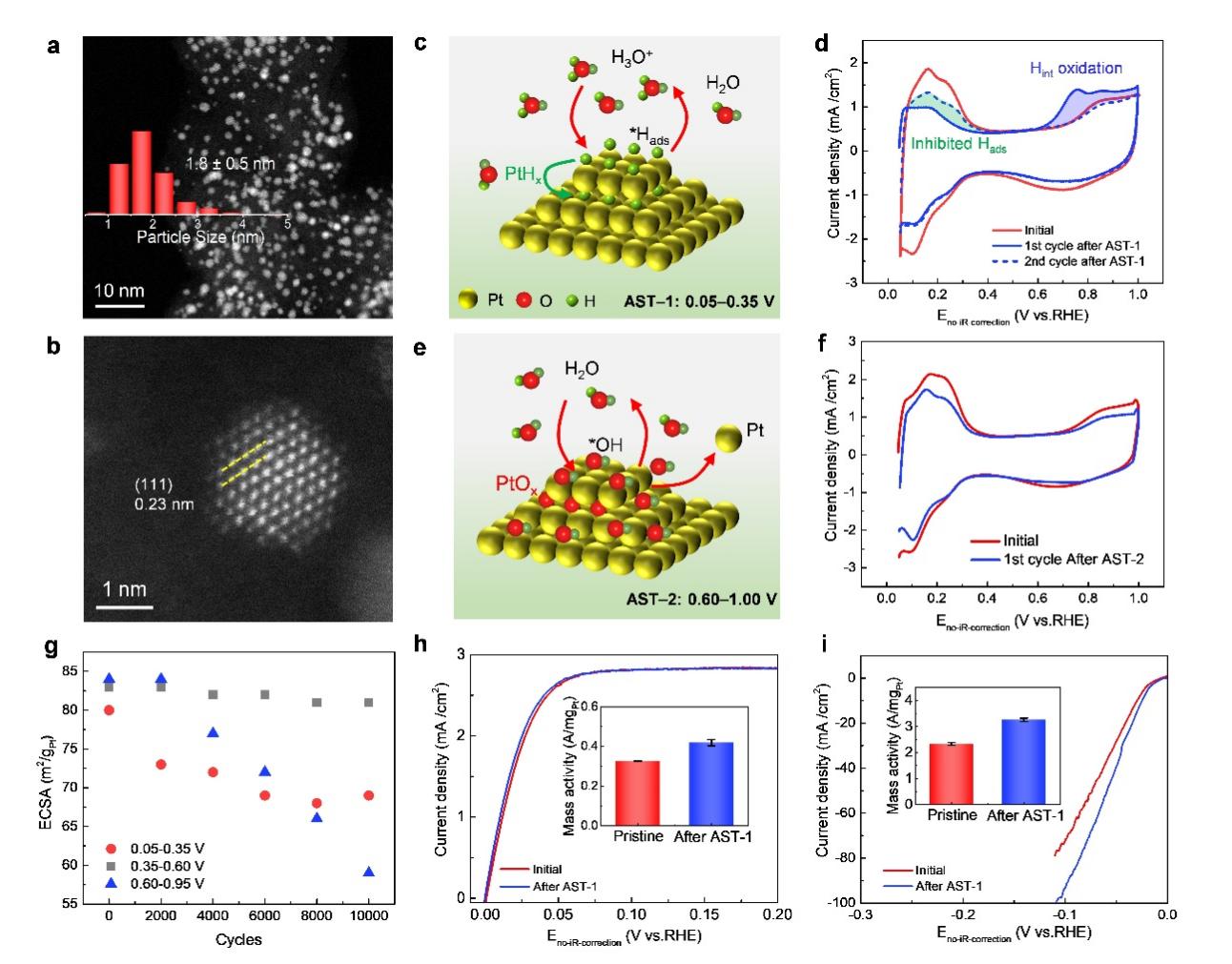 清华大学深圳国际研究生院干林课题组揭示氢电催化条件下铂纳米催化剂的真实表面结构和性质