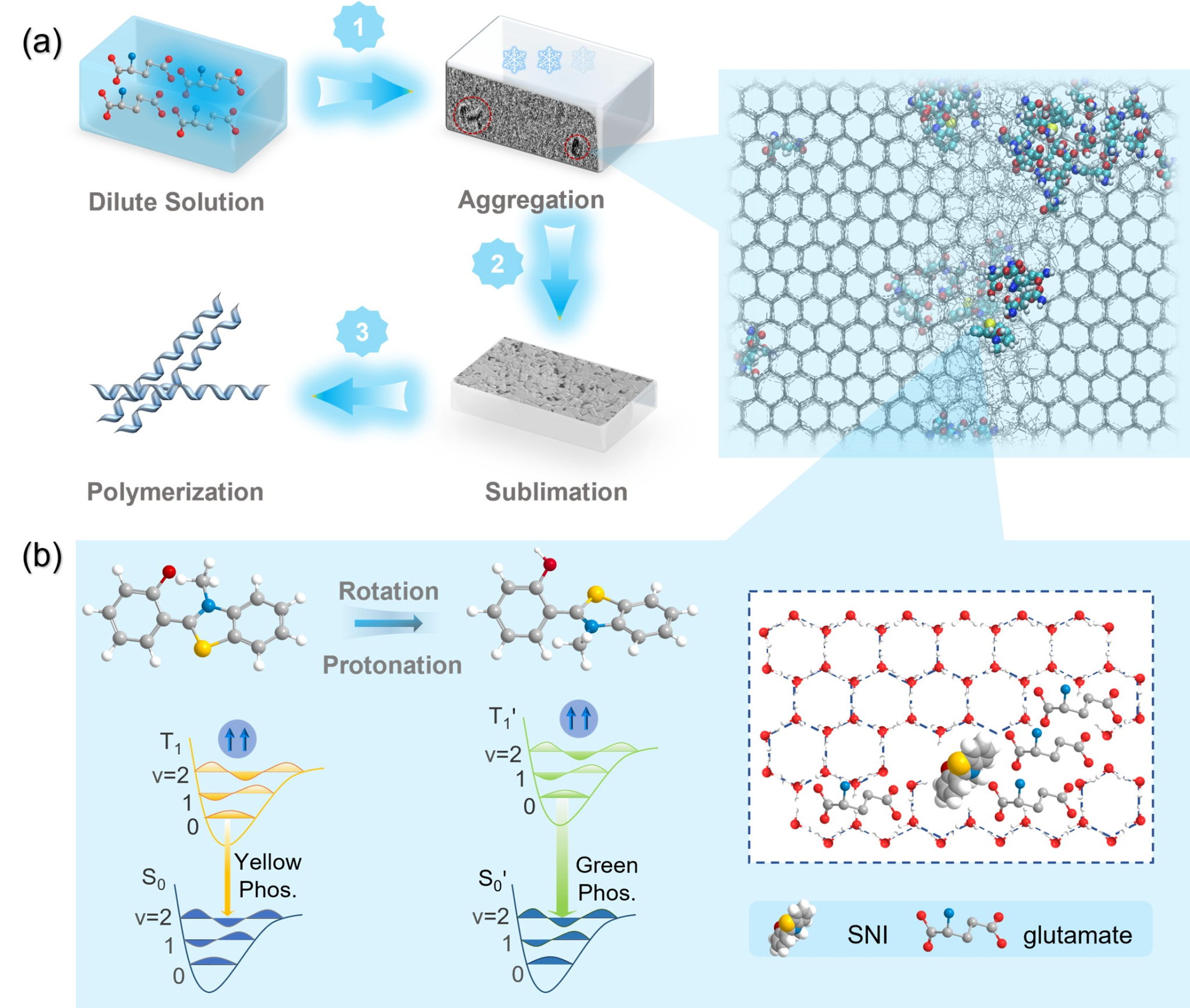 中国科大利用磷光揭示水冰中氨基酸纳米聚集体的形成