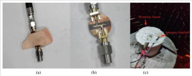 电子科技大学格拉斯哥学院本科生近期在多个领域发表学术论文