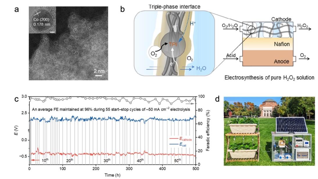 清华大学化工系唐城等在过氧化氢绿电合成领域取得新进展