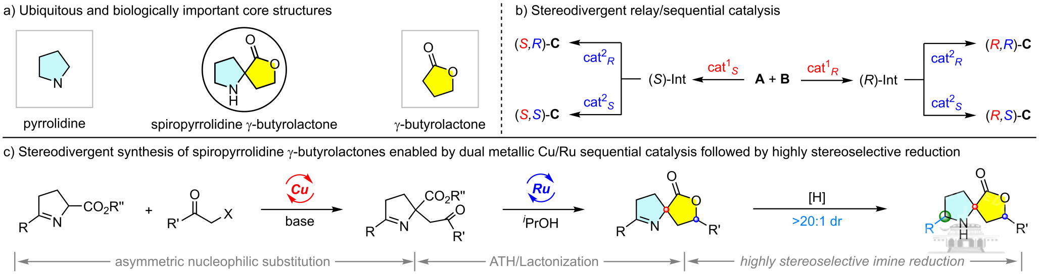 武汉大学王春江/董秀琴团队在双金属顺序催化取得新进展