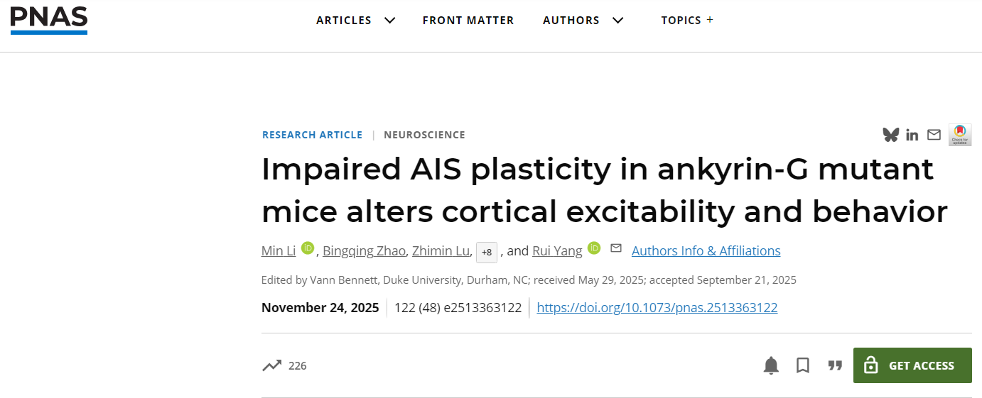 西安交大基础医学院杨睿团队 发现巨型锚蛋白G调控轴突始段可塑性的关键分子机制