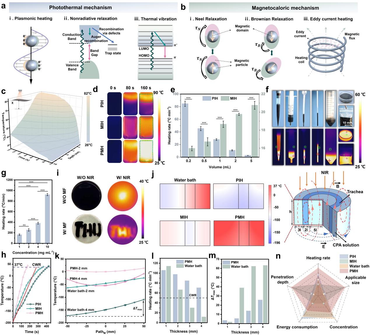 清华大学深圳国际研究生院耿洪亚团队在跨尺度生物样本冷冻保存领域取得新进展