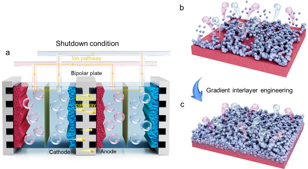 清华大学化工系张强、唐城团队合作在波动性新能源制氢关键材料领域取得突破