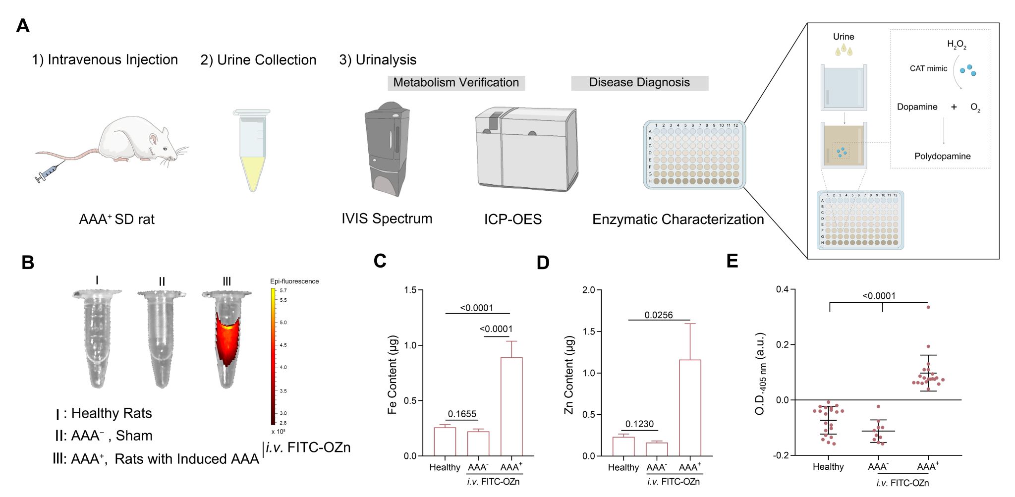 南京大学魏辉教授团队：一种用于腹主动脉瘤管理和治疗效果监测的超小型诊疗纳米酶