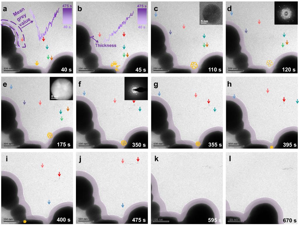 环境科学与工程学院凌岚团队多模态电子显微可视化固液界面表面液层内纳米尺度动态化学研究成果发表于《美国化学会志》