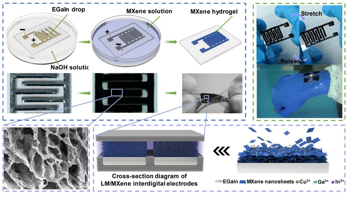 中国科大提出电化学一体化驱动策略制备柔性可拉伸微超级电容器