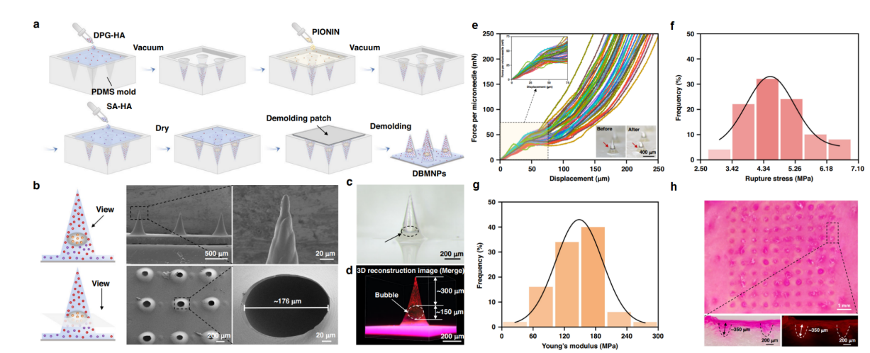 清华大学深圳国际研究生院张灿阳团队在微针透皮给药领域取得新进展