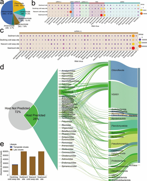 深海沉积物病毒多样性和辅助代谢功能研究获进展