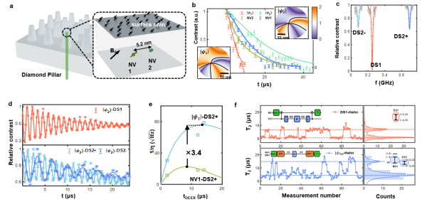 研究实现纠缠增强纳米尺度单自旋量子传感