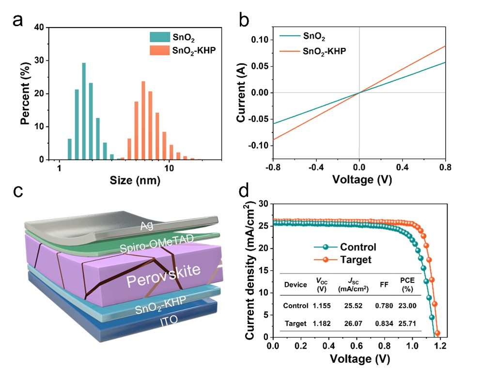 邻苯二甲酸氢钾钝化埋底界面实现高效稳定钙钛矿太阳能电池