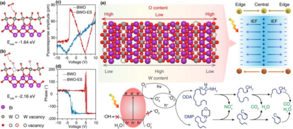 钾浮选剂光催化降解研究取得进展