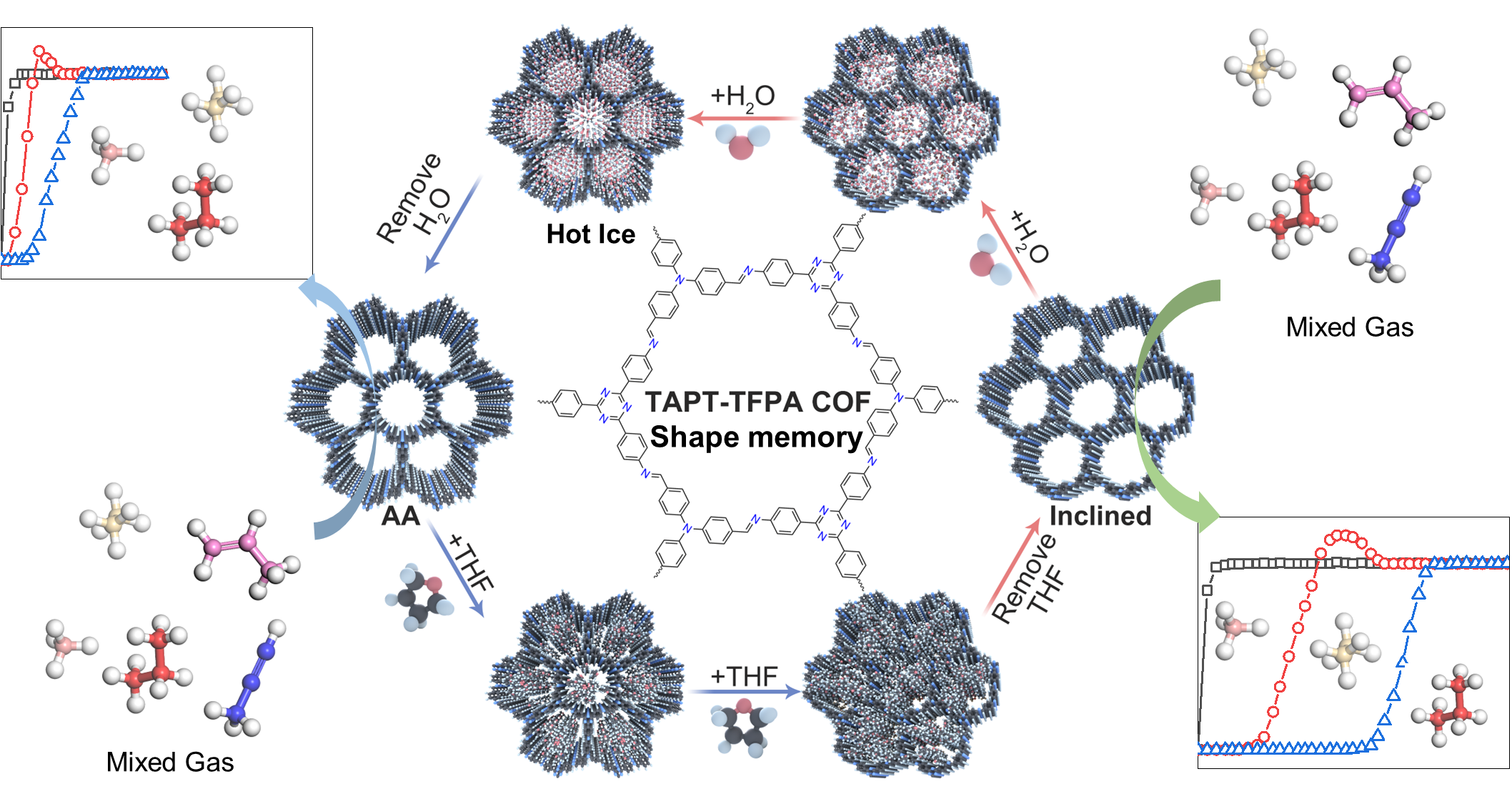 可逆形状记忆二维共价有机框架材料研究取得进展
