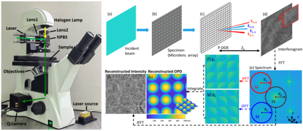 高分辨定量相位成像研究取得进展