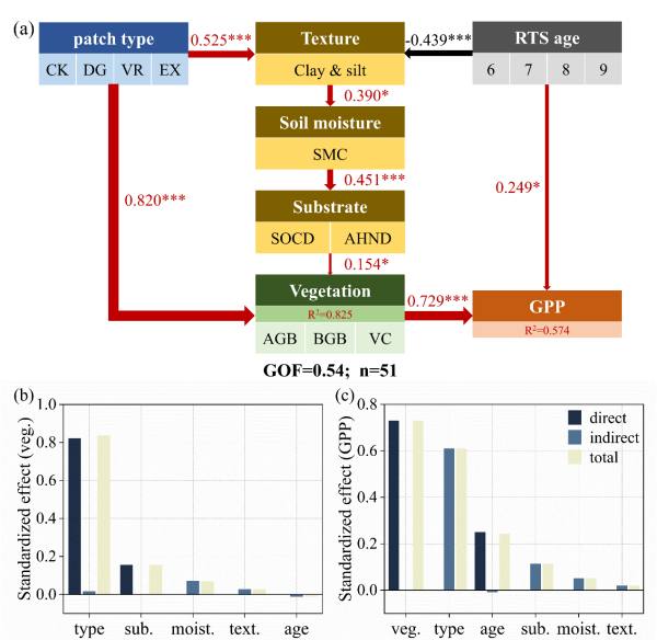 青藏高原热融滑塌对高寒生态系统影响研究获进展