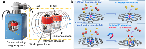 磁场调控催化反应选择性研究取得进展