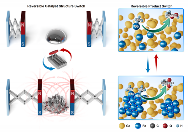 磁场调控催化反应选择性研究取得进展