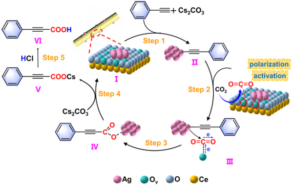 二氧化碳与炔烃反应生成炔酸机理研究取得进展