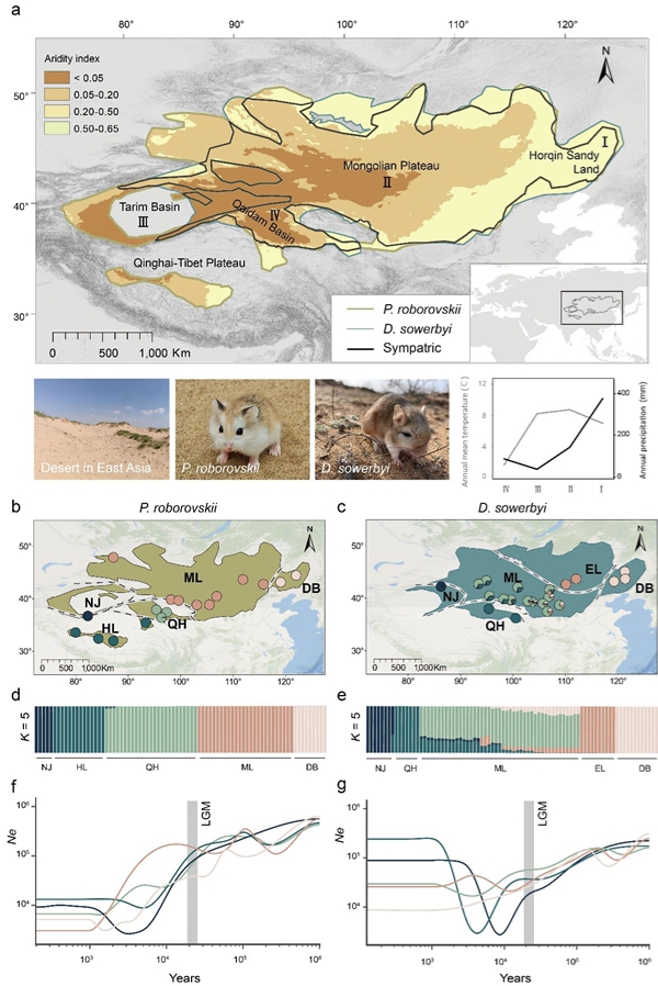 研究评估荒漠物种局部适应性和气候变化下的脆弱性