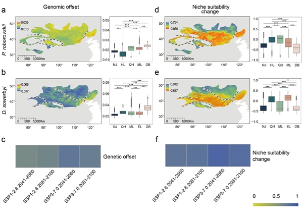 研究评估荒漠物种局部适应性和气候变化下的脆弱性
