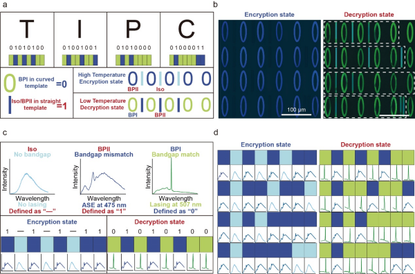 蓝相液晶精细结构组装研究取得进展