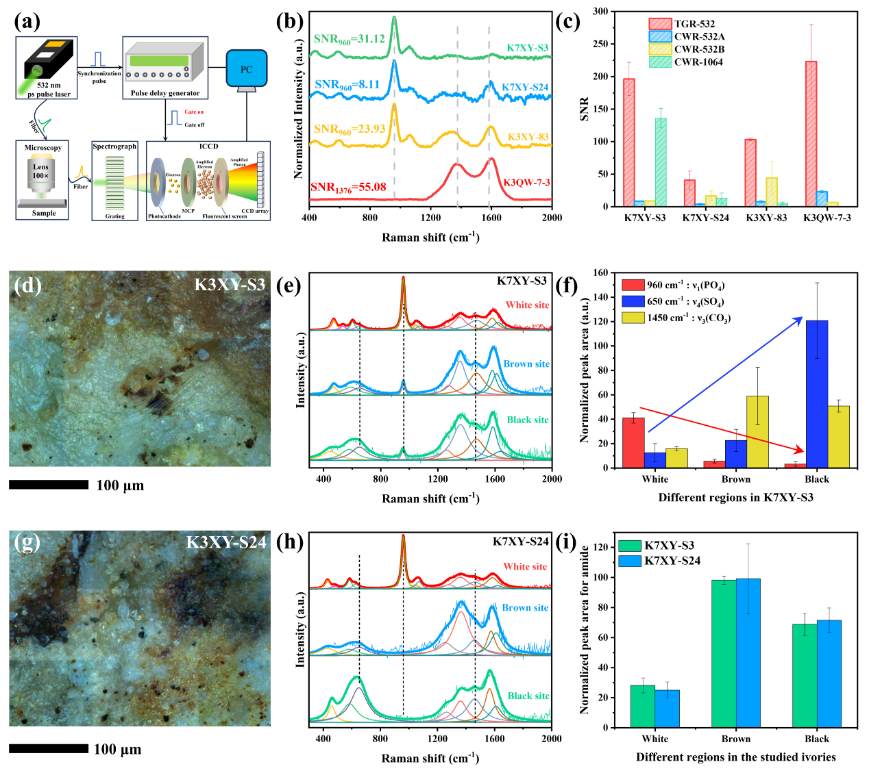 三星堆象牙考古研究取得进展